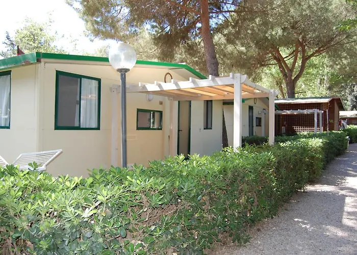 Feniglia